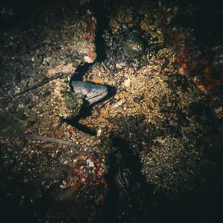 Rivage De Reve - *