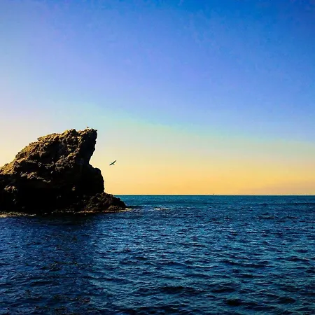 Rivage De Reve - * Hyeres